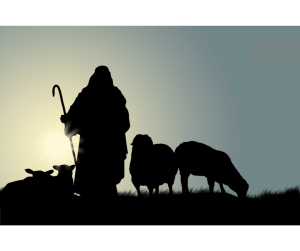 Read more about the article Dobry Pasterz