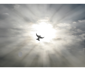 Read more about the article Wspomożyciel