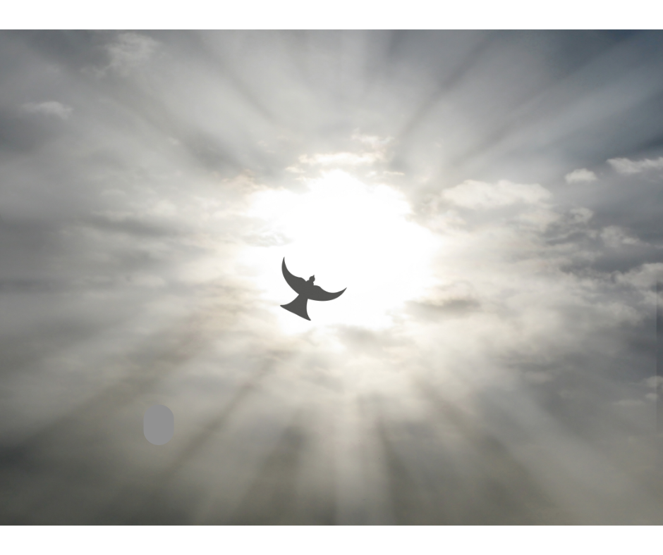 You are currently viewing Wspomożyciel